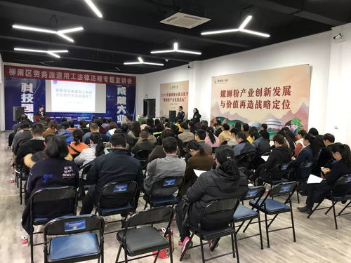 柳南區舉辦勞務派遣用工法律法規專題宣講會，助力互聯網信息服務行業規范發展