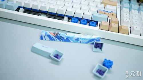 定制化手感與悅動(dòng)光效 玄派玄熊貓PD98機(jī)械鍵盤深度體驗(yàn)